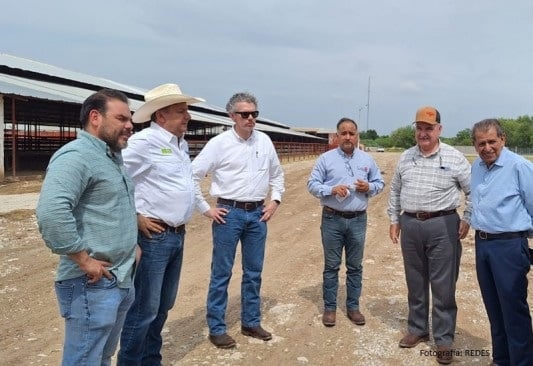 Estamos listo para reanudar exportaciones: Montemayor