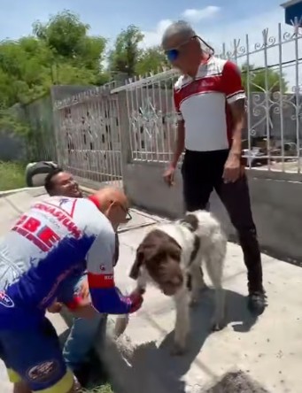 Fiona de San Buena regresa con su dueño