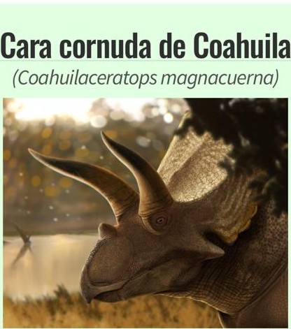 Es Coahuila Tierra de dinosaurios: UNAM