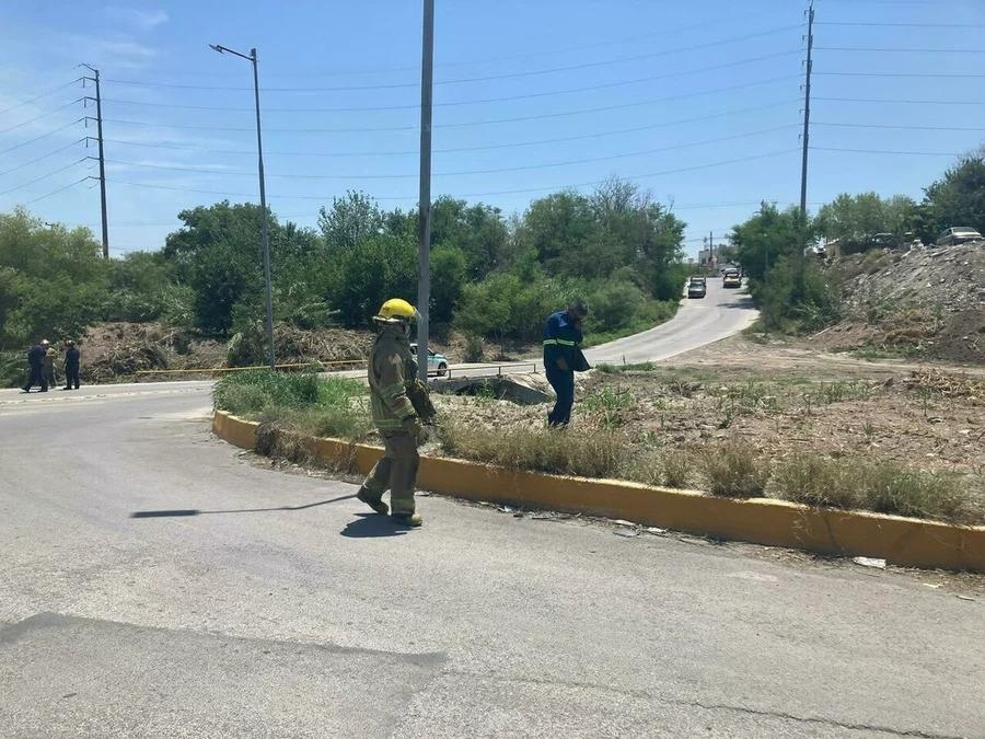 Ataca enjambre de abejas a empleados