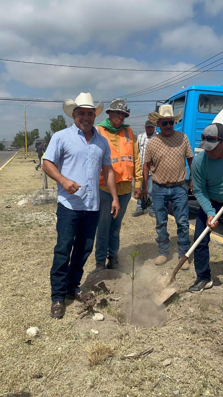 Inicia Chano Díaz campaña de reforestación en Sabinas