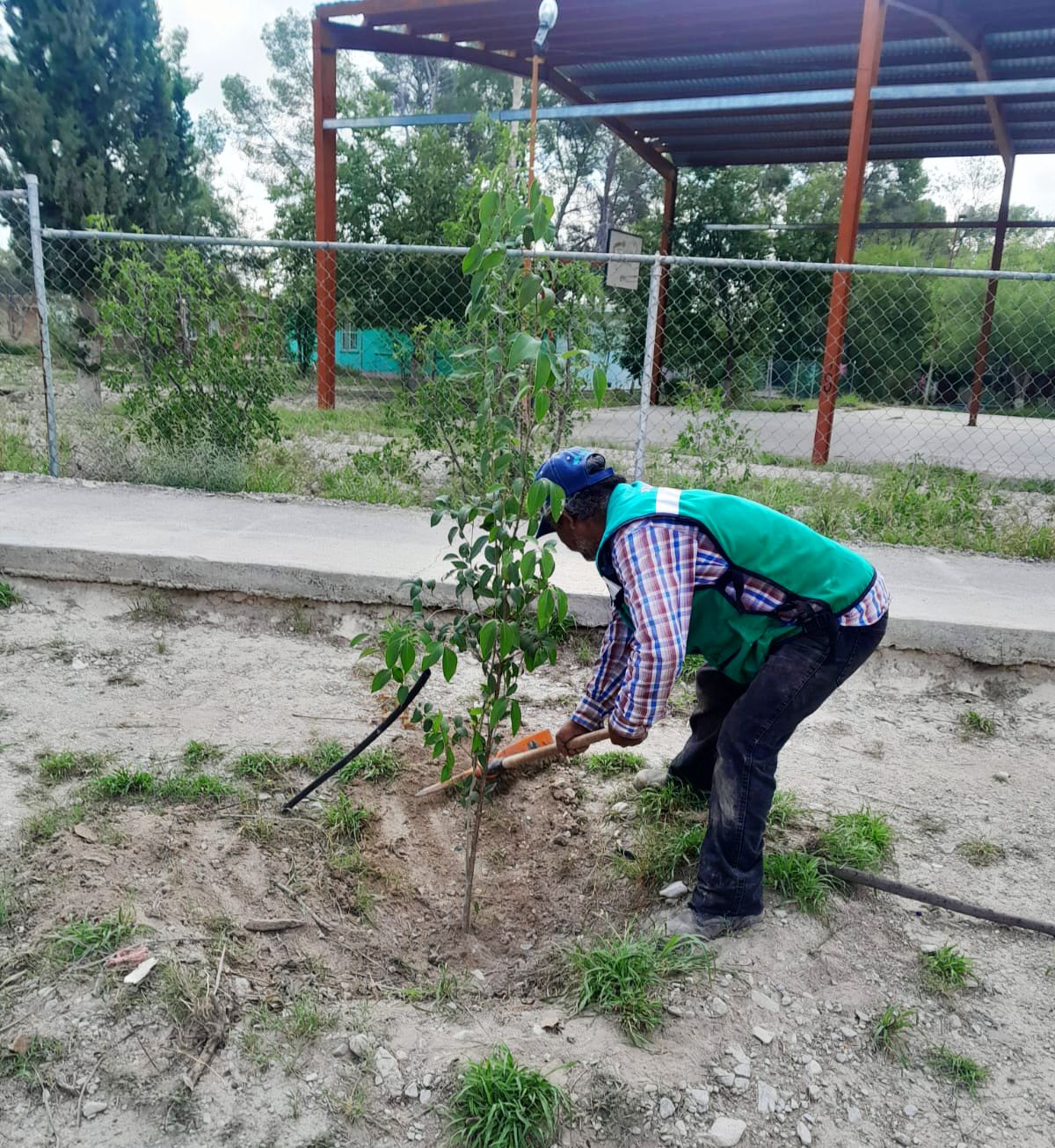 La alcaldesa Adriana Valdéz impulsa acciones de limpieza, poda y reforestación en Laguna del Rey y la cabecera de Ocampo.