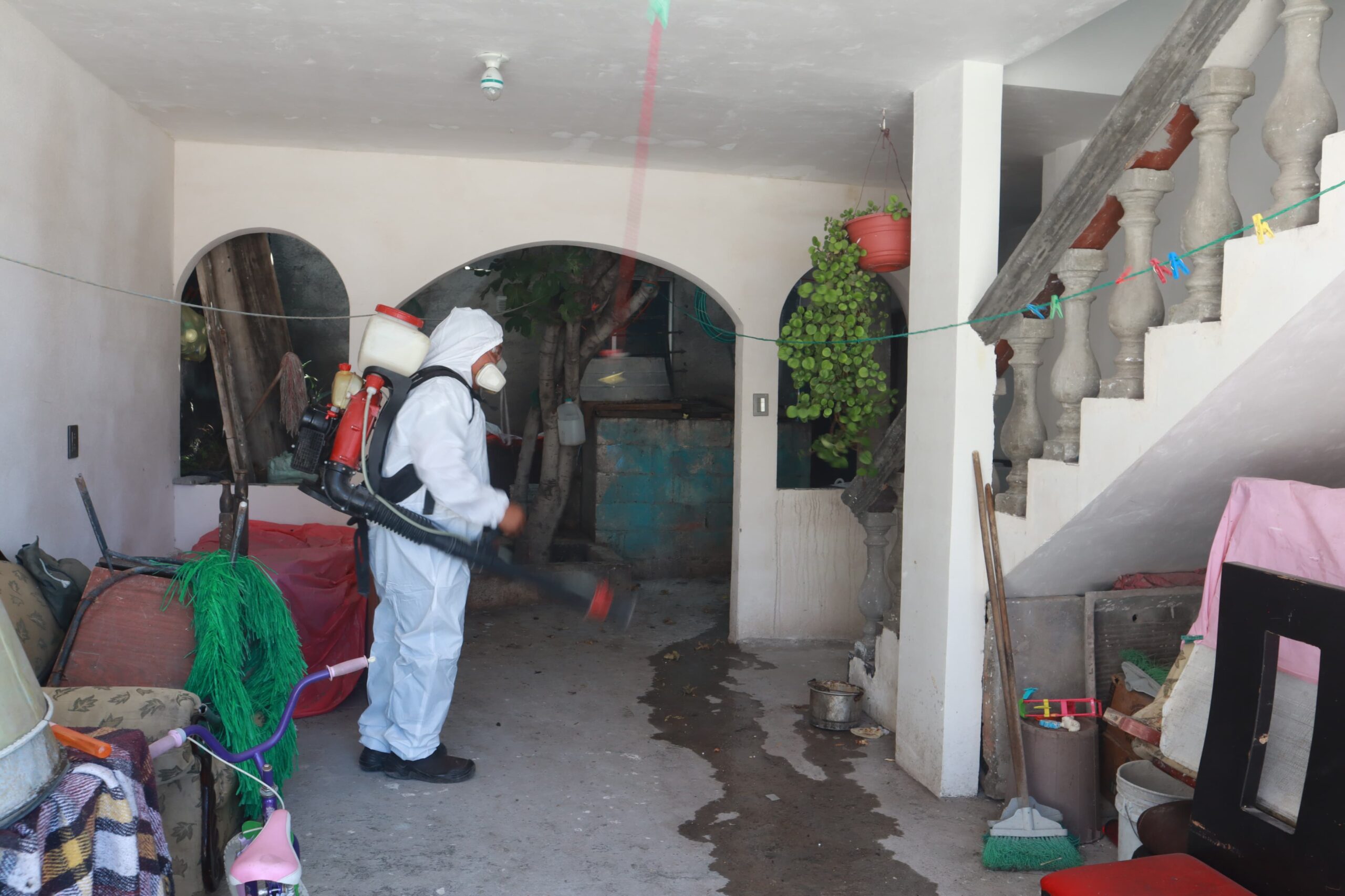 Trabaja Saltillo y Estado contra garrapata y Dengue