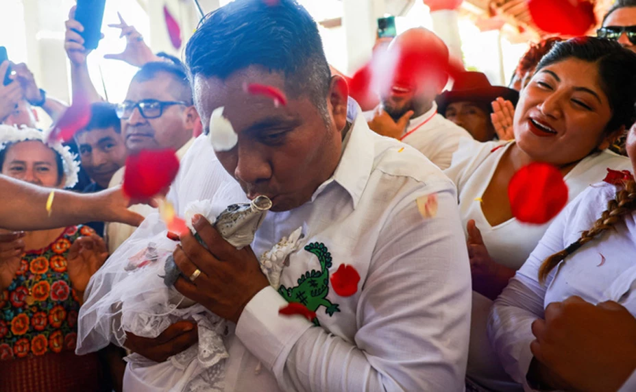 Alcalde de Oaxaca se casa con un caimán