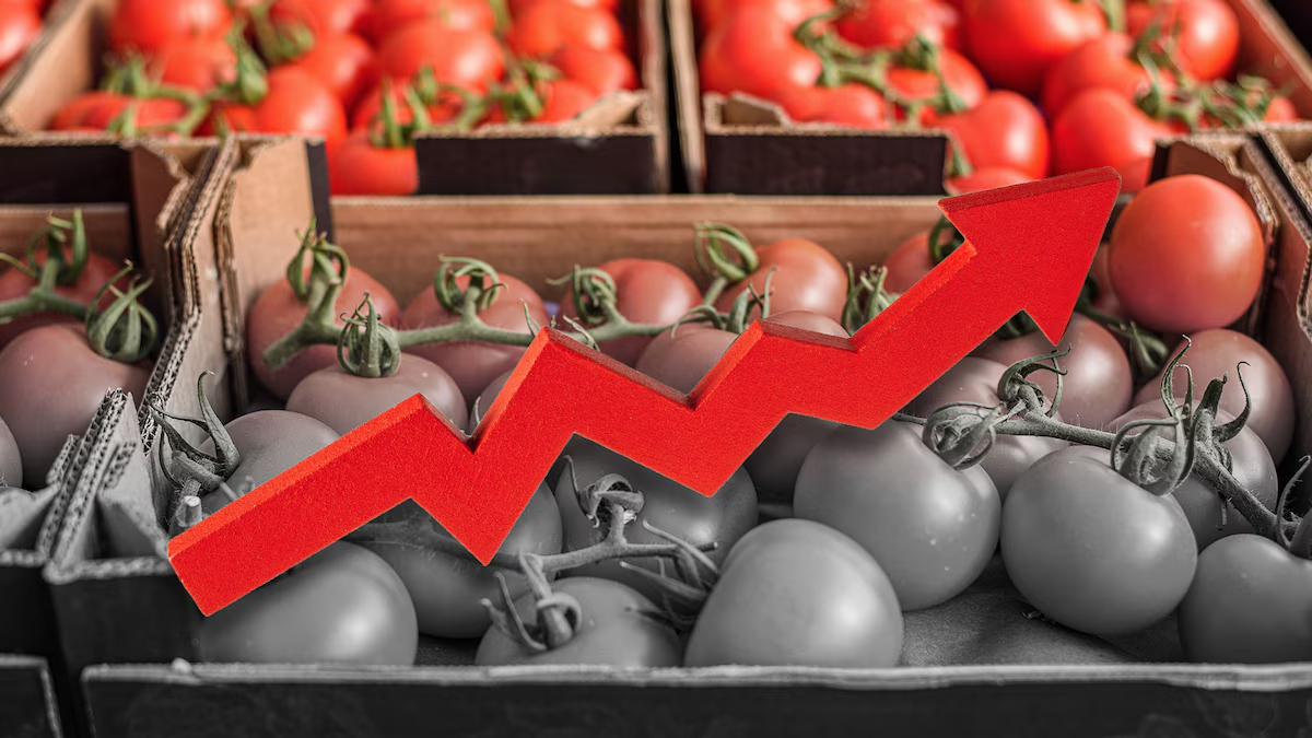 Precio del tomate subiría 10% por falta de acuerdo México-EU