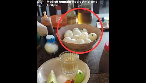 Despiden a funcionario de la Secretaría de Medio Ambiente de Oaxaca; presumió el consumo de huevos de tortuga marina