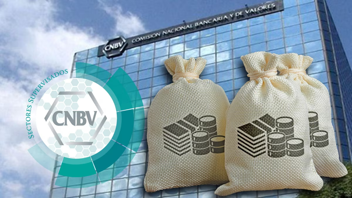 Comisión Nacional Bancaria y de Valores sanciona a CIBanco, Intercam y Vector: Multa total es de 185 mdp