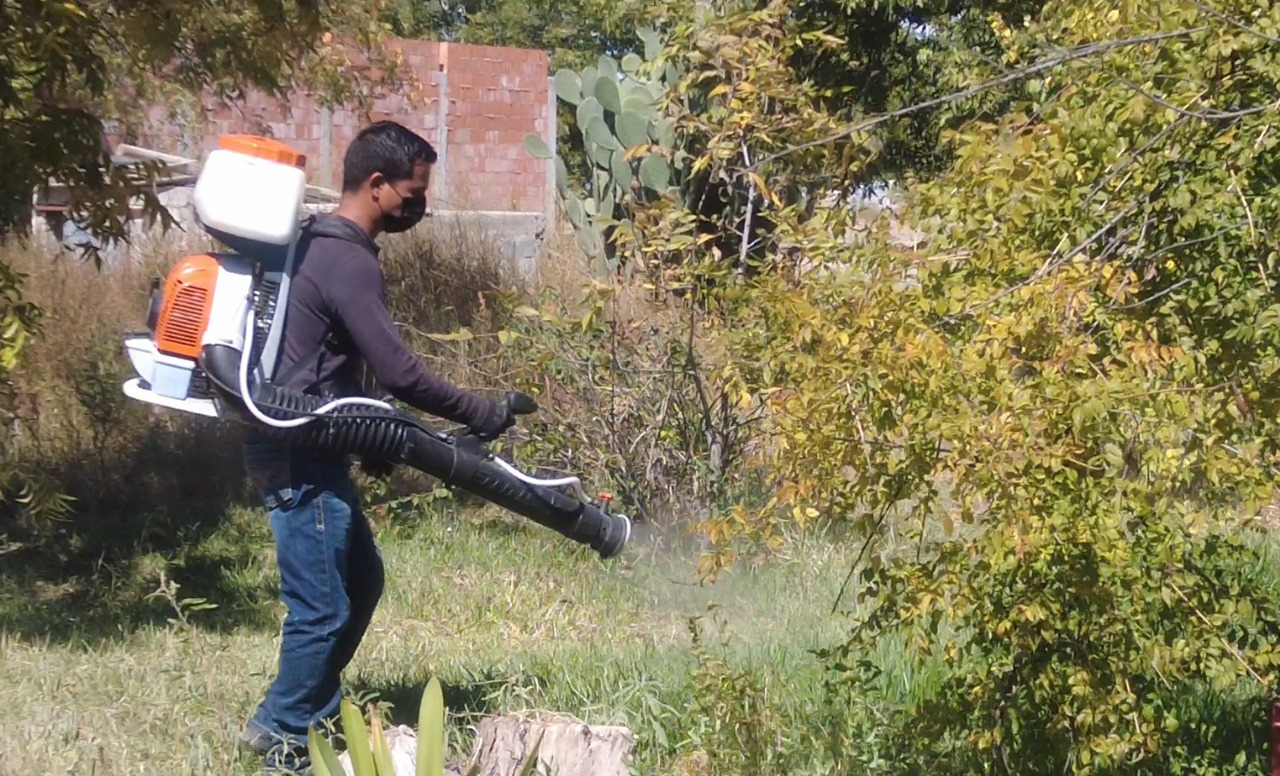Intensifican medidas contra el dengue en Parras