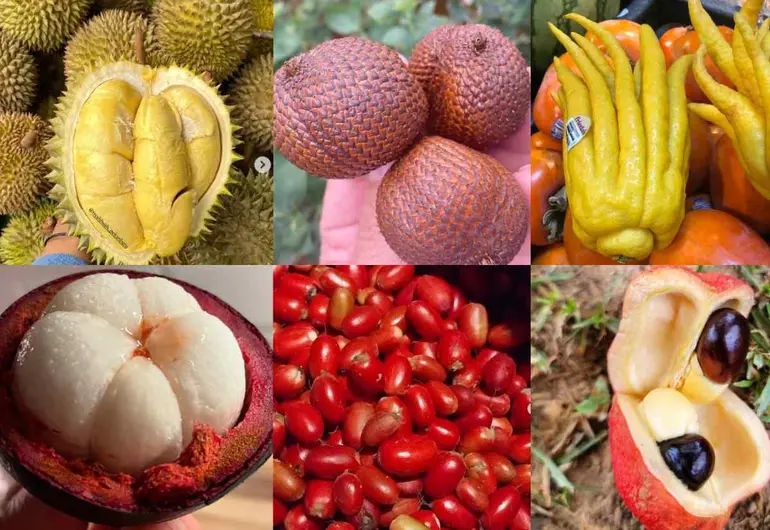 Las frutas más raras del mundo, muchas que seguro no conocías