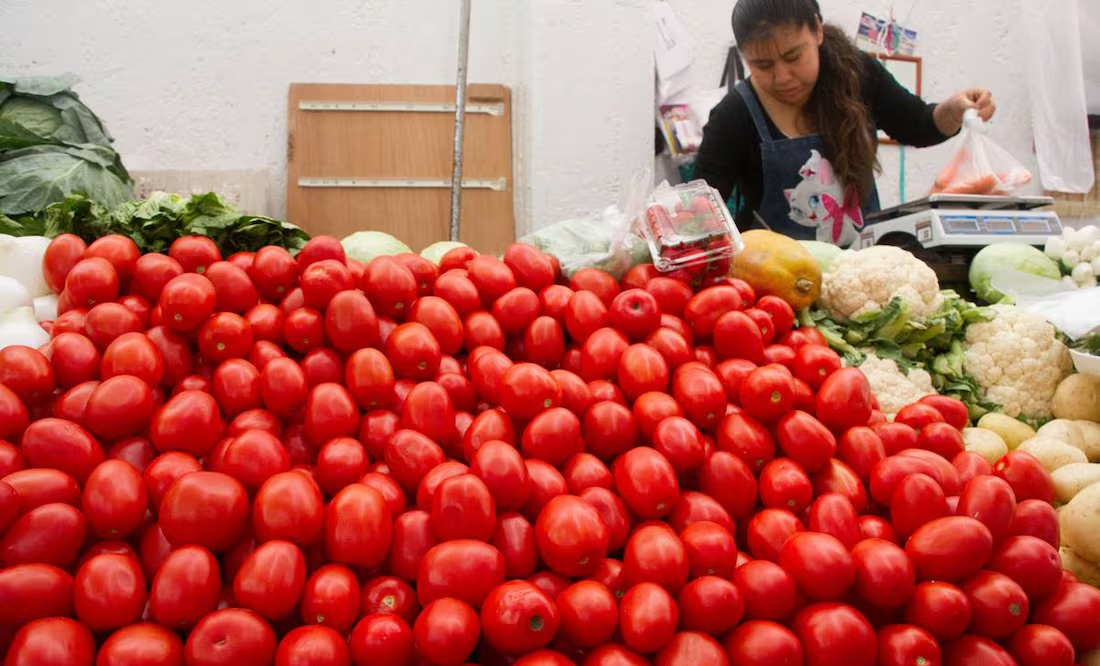 De México para Japón; Sader busca colocar jitomate nacional en el mercado nipón