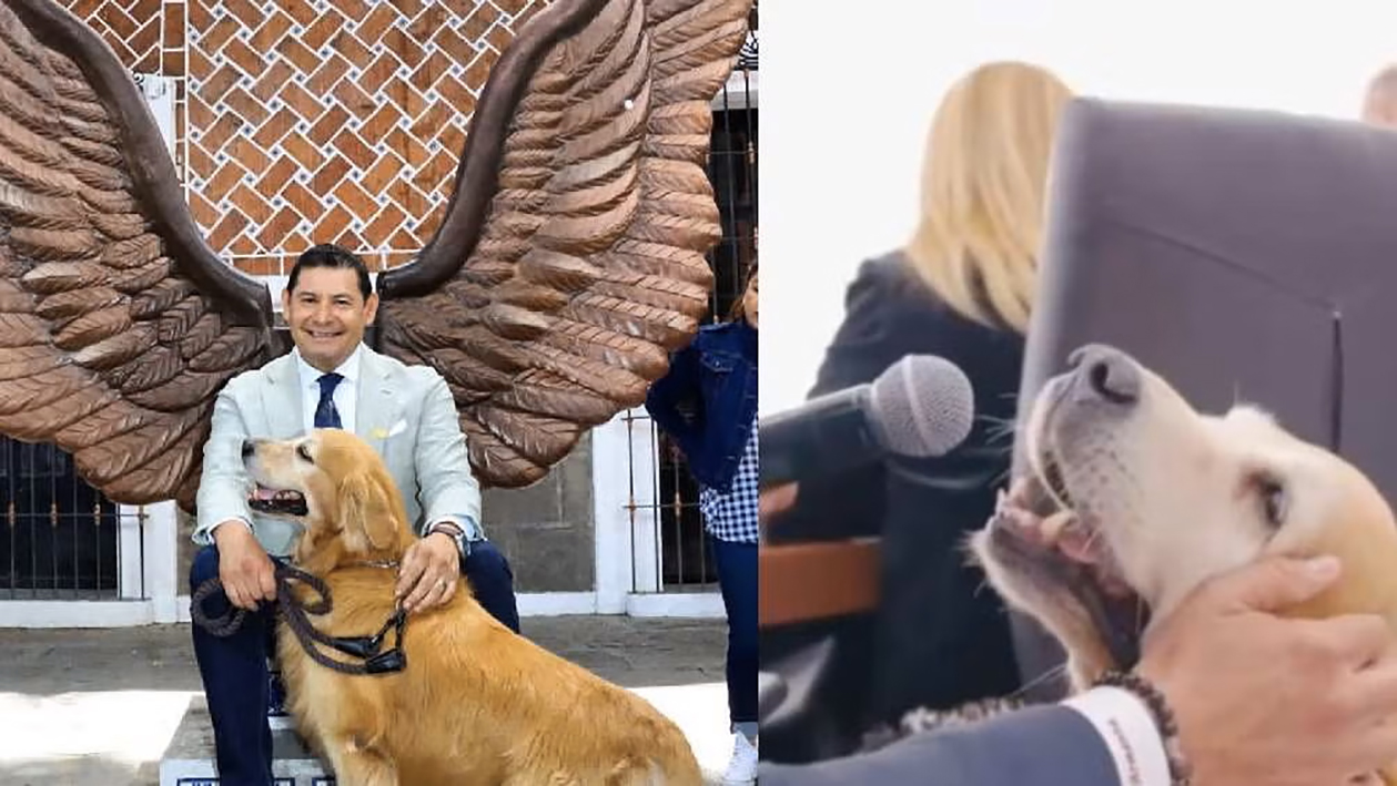 Gobernador de Puebla ‘entrevista’ a su mascota