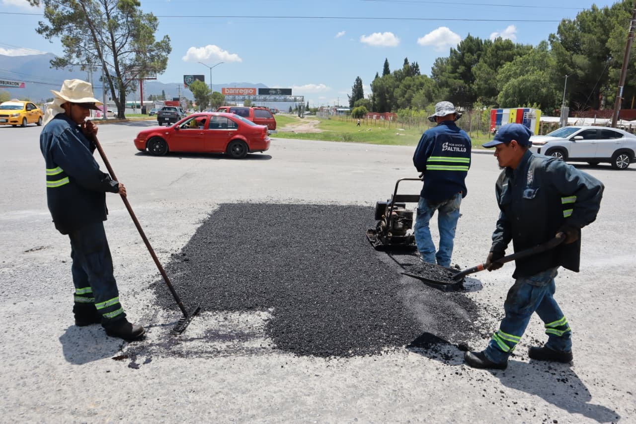 Instalan en el Sarape jardines polinizadores