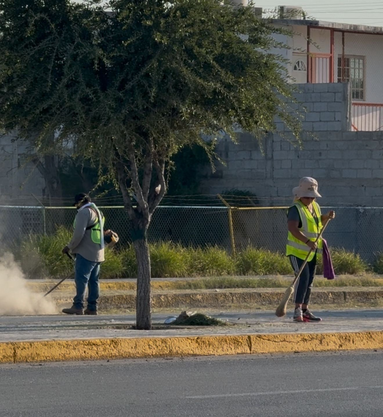 Refuerzan la limpieza y embellecimiento de SB