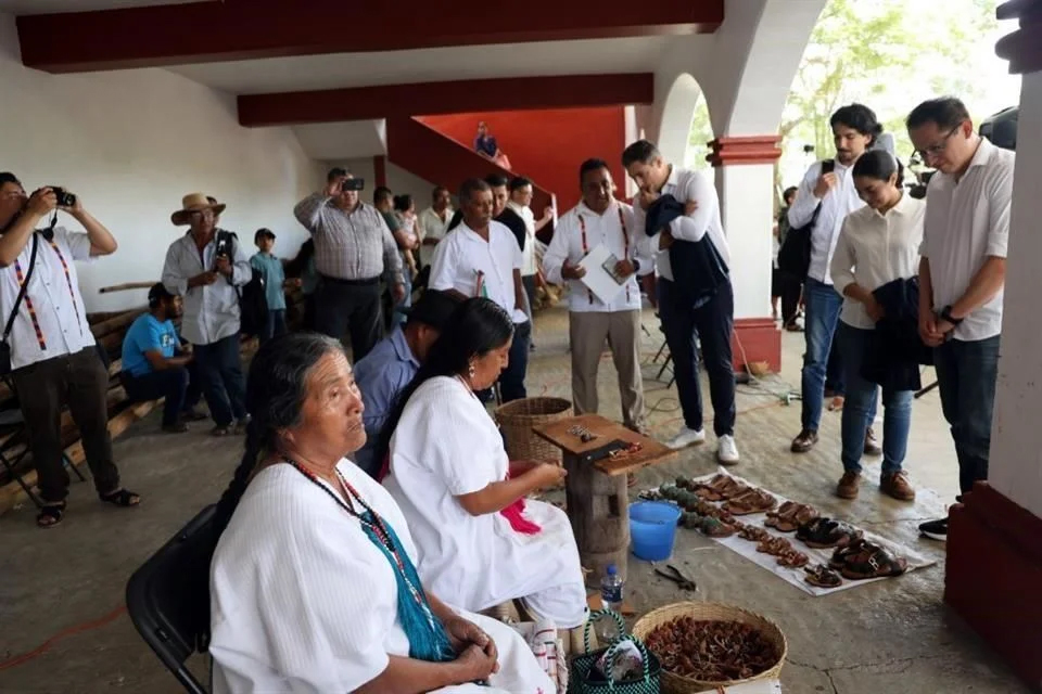 Pide Adidas perdón a artesanos por usar diseños oaxaqueños