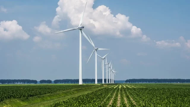 Energía eólica no funciona, estropea el paisaje: Trump