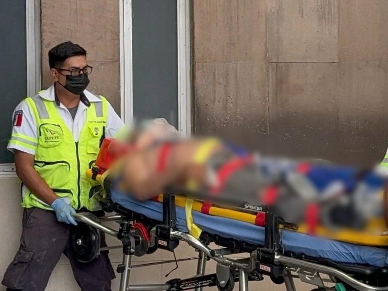 Muere chofer al esquivar vaca en la Saltillo-Torreón