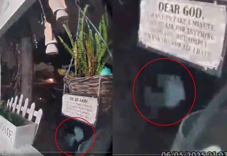 «Alienígena» captado en California