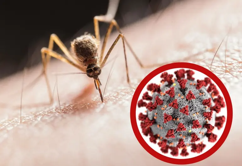 Otro virus se propaga por China: más de 7000 contagios