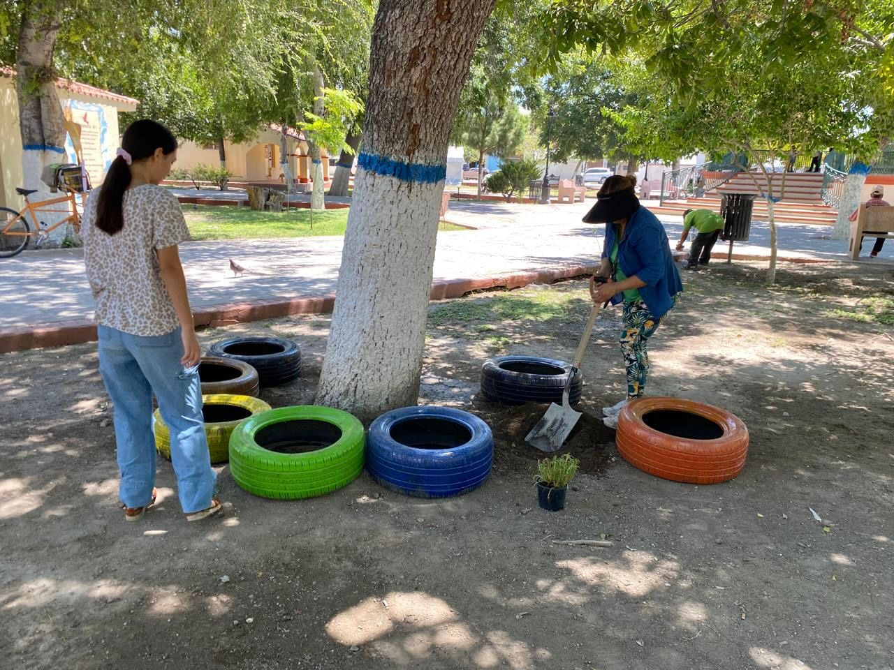 Jóvenes se suman al rescate de áreas verdes en Cuatro Ciénegas