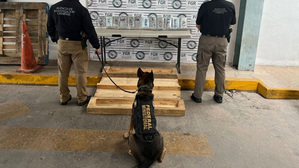 Perros entrenados en EU han apoyado en el aseguramiento de dr0gas en México, afirma el Departamento de Estado