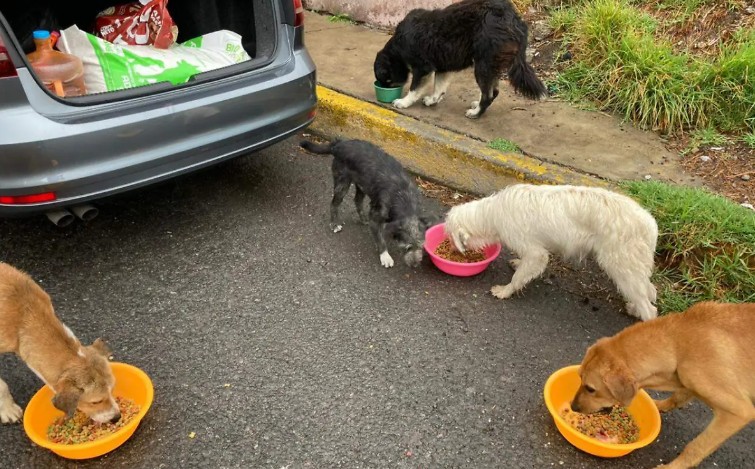 Invita UAdeC a la campaña “Donar Croquetas está Perro”