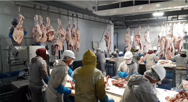 Empacarán carne de exportación para EU