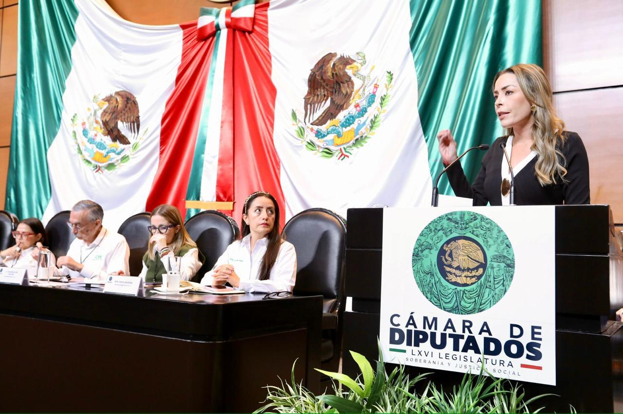 Exige Diputada a CFE atender crisis energética en Coahuila