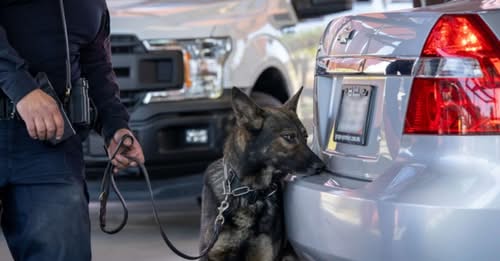 Detienen a texano con armas; venía a Coahuila  