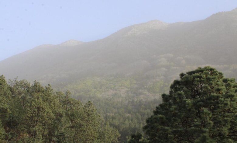 Urgen regular entradas a la Sierra de Arteaga