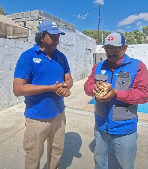 Descubren molar de mamut en 4 Ciénegas