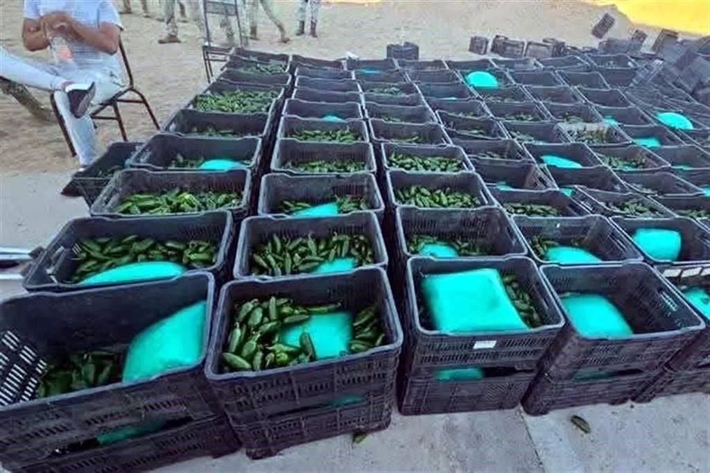 Hallan una tonelada de droga entre chiles