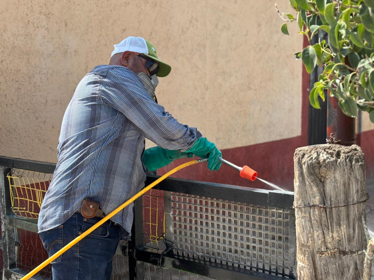 Protegen del dengue al ejido San Lorenzo