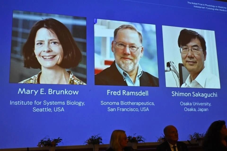 Dan Nobel a 3 científicos por trabajos sobre sistema inmune