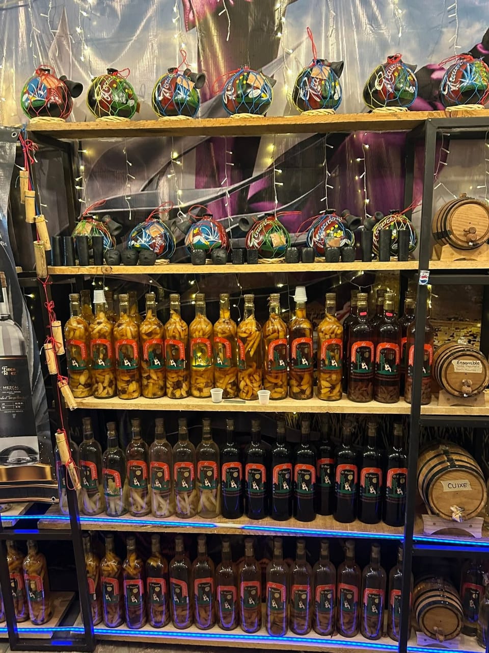 Tradición y sabor oaxaqueño florece en corazón de Parras