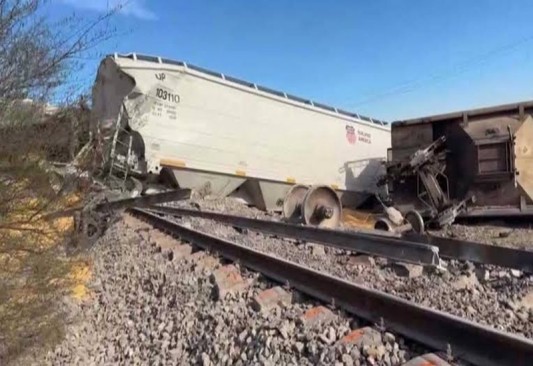 Se descarrilan 6 vagones de tren