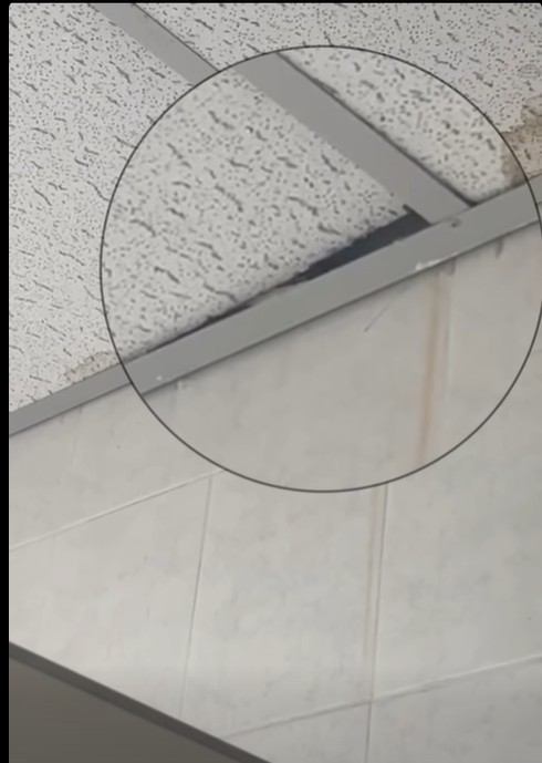 Expulsa UTC a alumno por grabar a mujeres en el baño