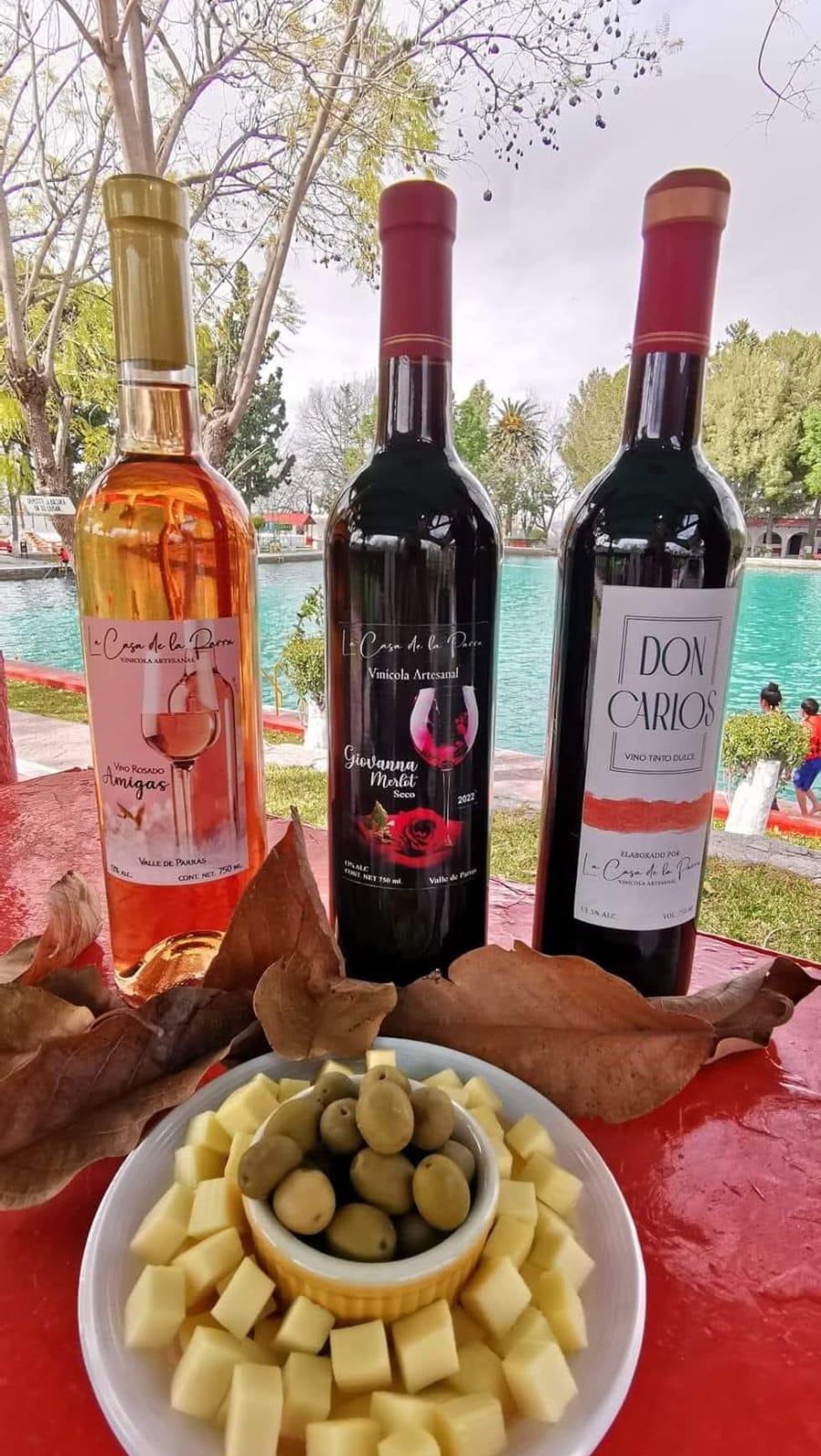Produce Parras el mejor vino del país