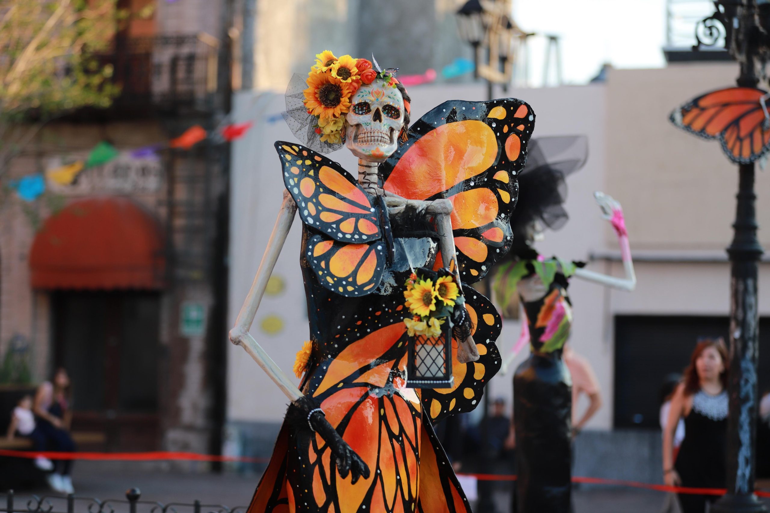 Invitan a disfrutar en Saltillo del Festival Paso de la Mariposa Monarca