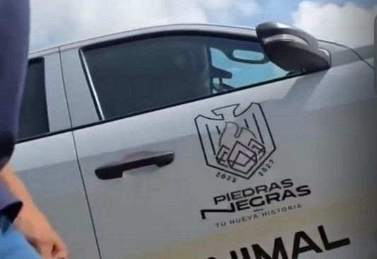 Investiga FGE caso de maltrato animal