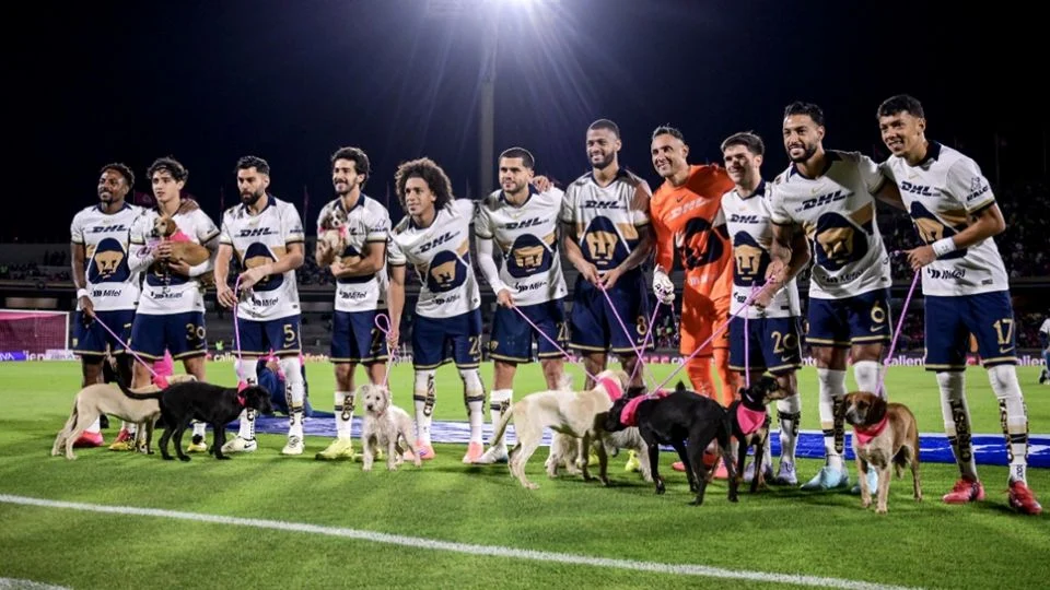 Critican a los Pumas por falta de sensibilidad: el equipo se toma una foto con 11 perros cuando Ramsey padece la pérdida del suyo