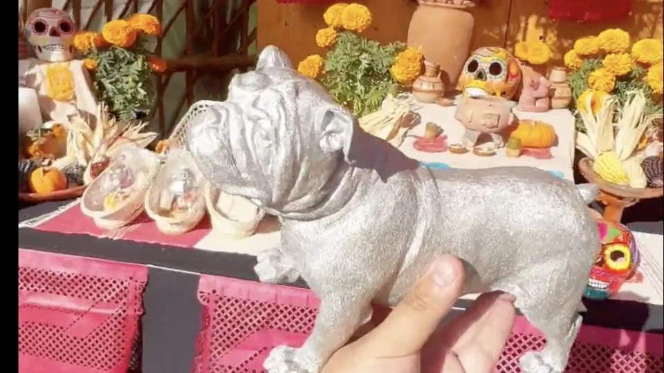 (VIDEO) ¡Recuérdame! ‘Roscoe’, el perro fallecido de Lewis Hamilton, es incluido en la ofrenda del Gran Premio de México