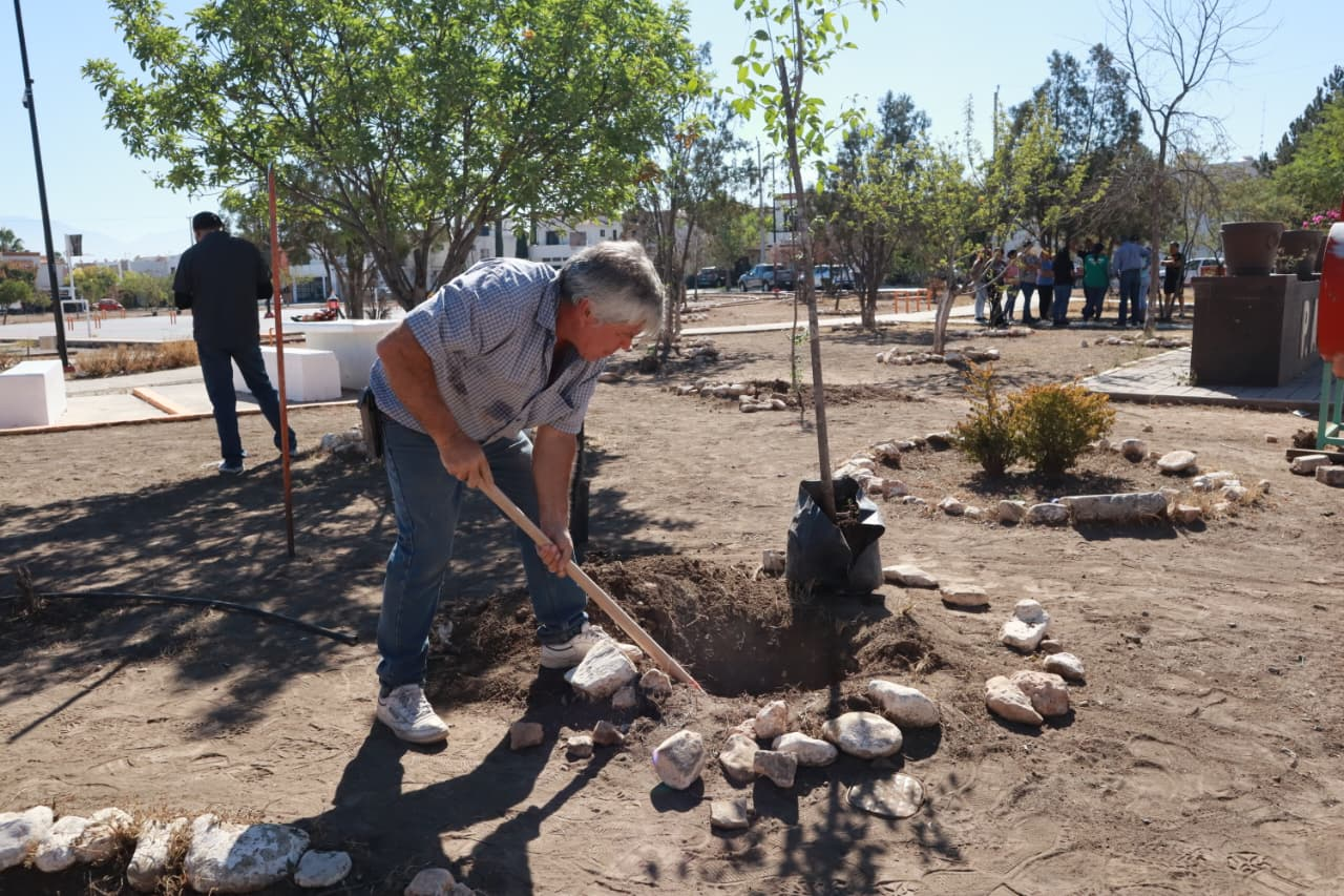 Realiza Saltillo intensa jornada de reforestación en Portal de Agaves
