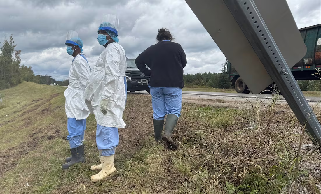 Autoridades de Mississippi buscan a tres monos de laboratorio que escaparon; aclaran que no son infecciosos