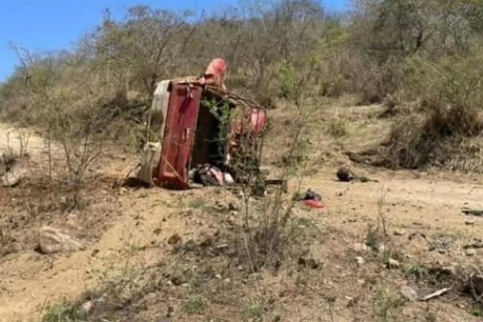 Mata narcomina a aguacatero