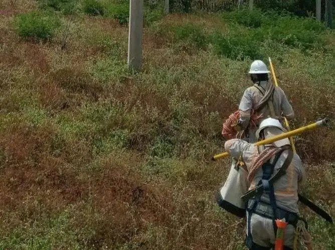 Retoma Múzquiz actividades tras apagón de ocho horas