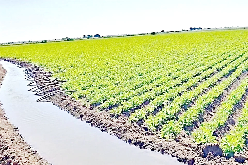 AFIRMAN CAMPESINOS QUE REFORMA DE AGUAS ES UN GOLPE AL CAMPO