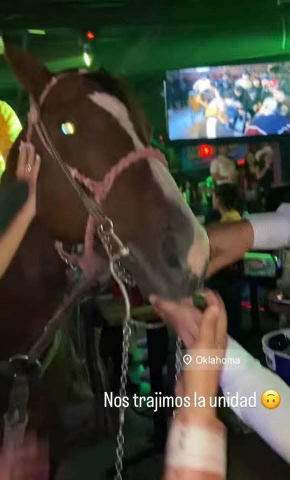 Multan al bar Oklahoma por alcoholizar a caballo