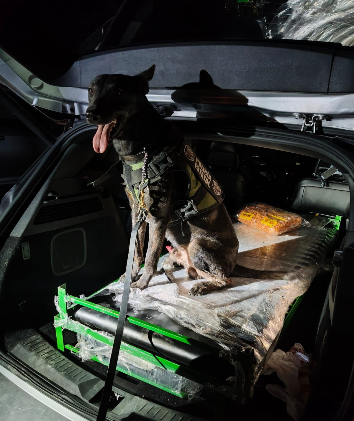 Localiza perro policía 23.5 kilos de “cristal”