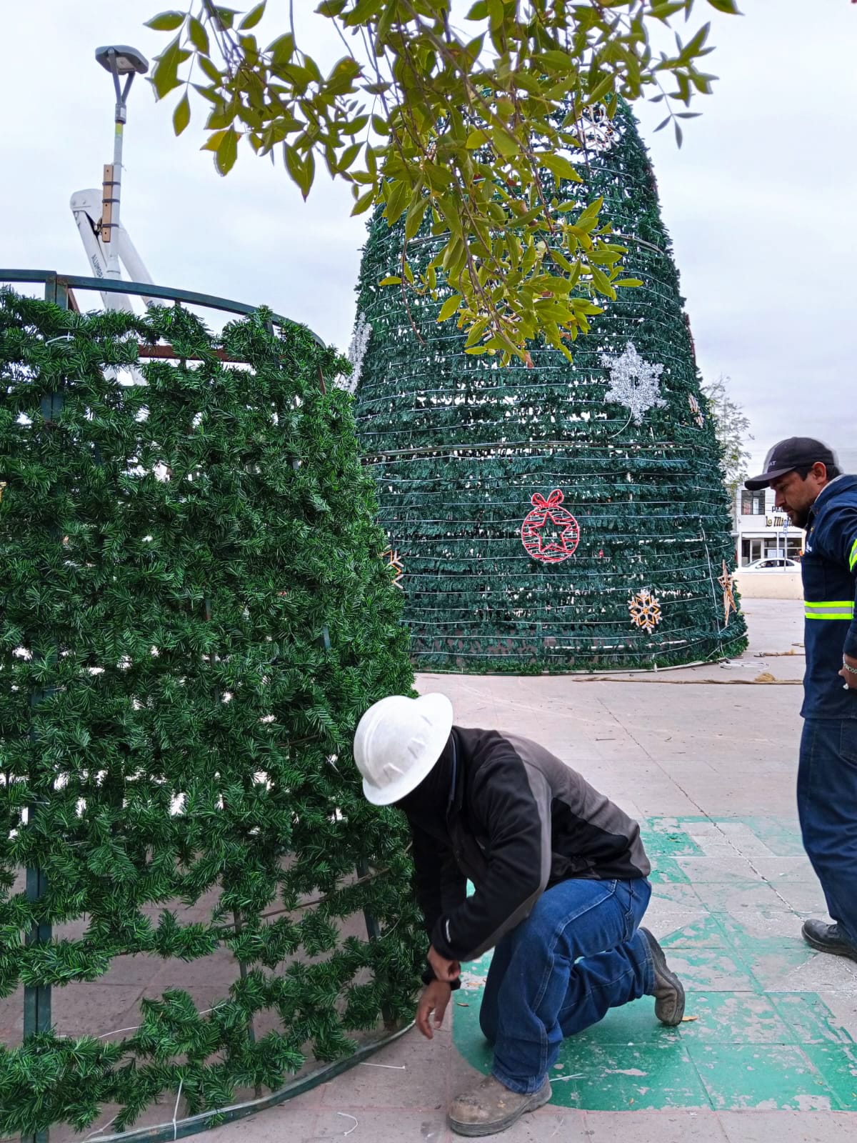 Invita Sari al encendido del pino monumental
