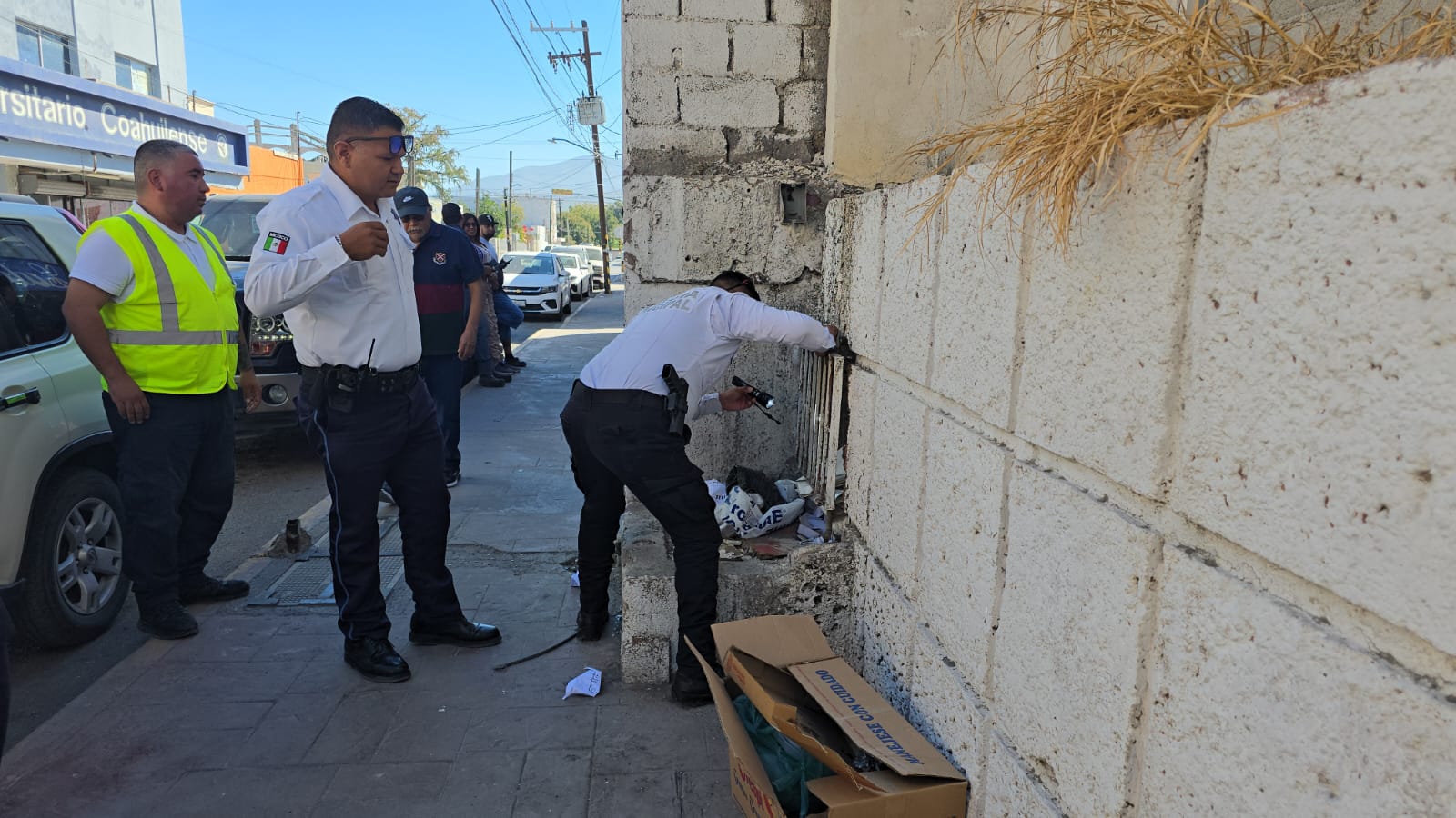 Olía a descompuesto; era un gato atrapado